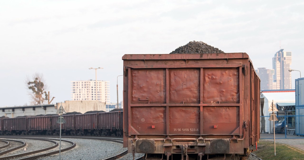 PKP Cargo w restrukturyzacji uruchamia proces zwolnień grupowych - poinformowała giełdowa spółka /Wojciech Stróżyk /Reporter