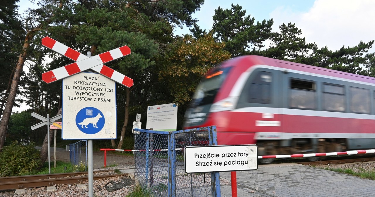 PKP chcą, żeby na Hel dojeżdżało więcej pociągów. Inwestycja wiąże się z koniecznością wycinki drzew, na co nie ma zgody mieszkańców /Marta Darowska /Reporter