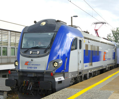 PKP Intercity kupią od spółki Newag 20 elektrycznych lokomotyw. Koszt to ponad 500 mln zł 