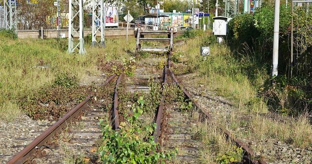 PKP PLK ma niemal 450 km linii kolejowych objętych procedurą likwidacji /&copy;123RF/PICSEL