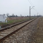 PKP PLK: nowy przystanek kolejowy powstanie w Głownie na trasie Łódź - Łowicz