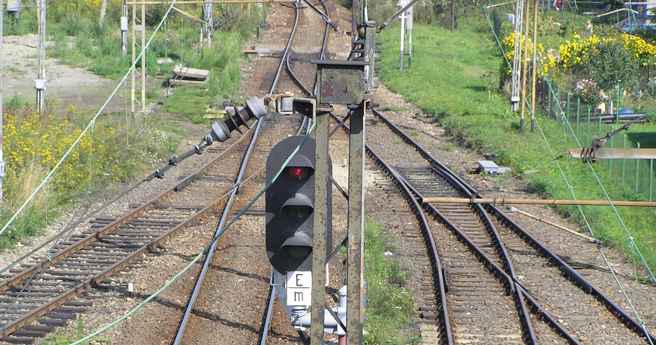 PKP PLK są zarządcą kolejowej infrastruktury w Polsce /INTERIA.PL