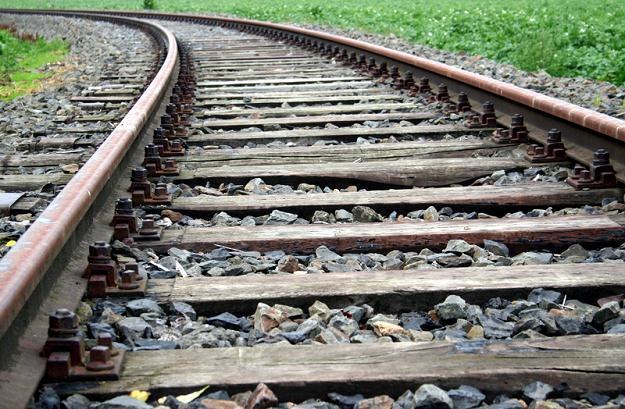 PKP PLK zarządzają liniami kolejowymi o długości 22 tys. km /&copy; Panthermedia
