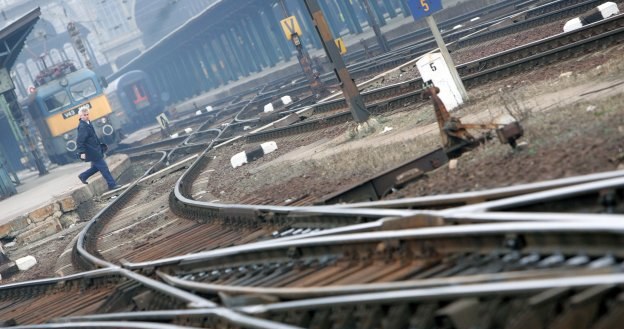 PKP Polskie Linie Kolejowe to spółka odpowiedzialna za zarządzanie torami /AFP