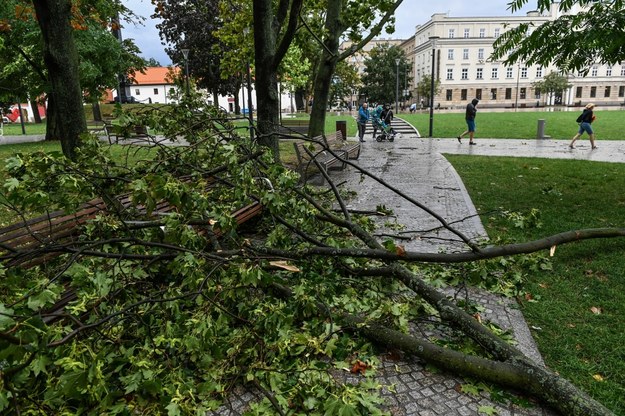 Plac Litewski w Lublinie po burzy /Wojtek Jargiło /PAP