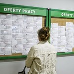 Płacą 3,2 tys. zł na tydzień za pracę przy zbiorach. Nie mają wymagań
