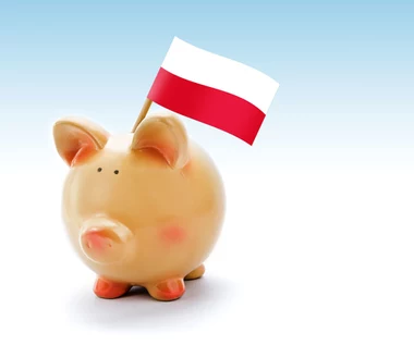 Płaca minimalna. Koszt podwyżki prawie 15 mld zł 