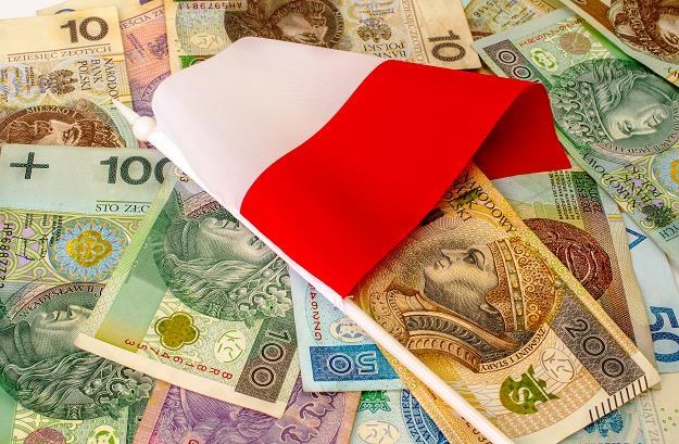 Płaca minimalna w Polsce będzie rosła /&copy;123RF/PICSEL