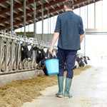 Płacą nawet 8 tys. zł. Wymagają sumienności i punktualności