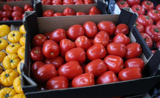 Płacą za nie każde pieniądze. Zaskakujące ceny w Broniszach