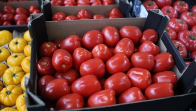 Płacą za nie każde pieniądze. Zaskakujące ceny w Broniszach