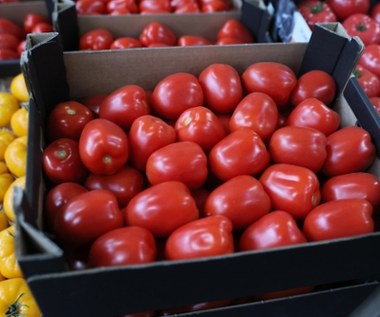 Płacą za nie każde pieniądze. Zaskakujące ceny w Broniszach