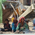 Plaga owadów, choroby i głód - skutki gigantycznej powodzi w Pakistanie