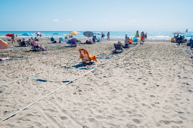 Plaga robaków na polskich plażach. Turyści są bezradni