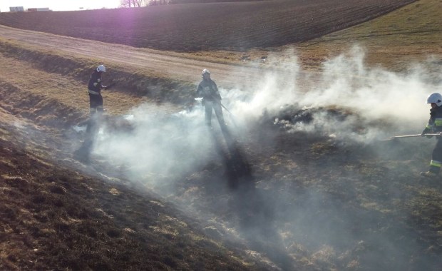 Plaga wróciła. Strażacy wyjeżdżają już do pierwszych pożarów traw