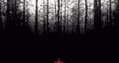 Plakat do filmu "The Blair Witch Project" /