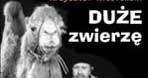 Plakat filmu "Duże zwierzę" /