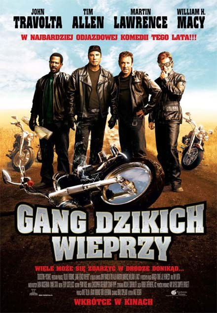 Plakat filmu "Gang dzikich wieprzy" /