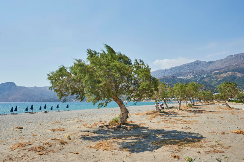 Plakias na greckiej wyspie Kreta /David & Micha Sheldon/F1online/agefotostock/East News /East News