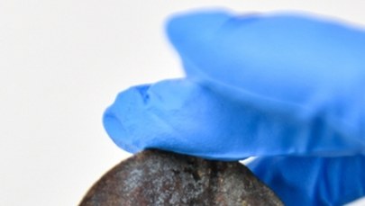 ​Plakieta z trąbki sygnałowej znaleziona na Westerplatte