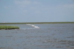 Plama ropy coraz bliżej – trwa rozstawianie zapór 