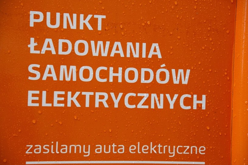 Plan elektromobilności jest, efektów - nie ma /Wojciech Stróżyk /Reporter
