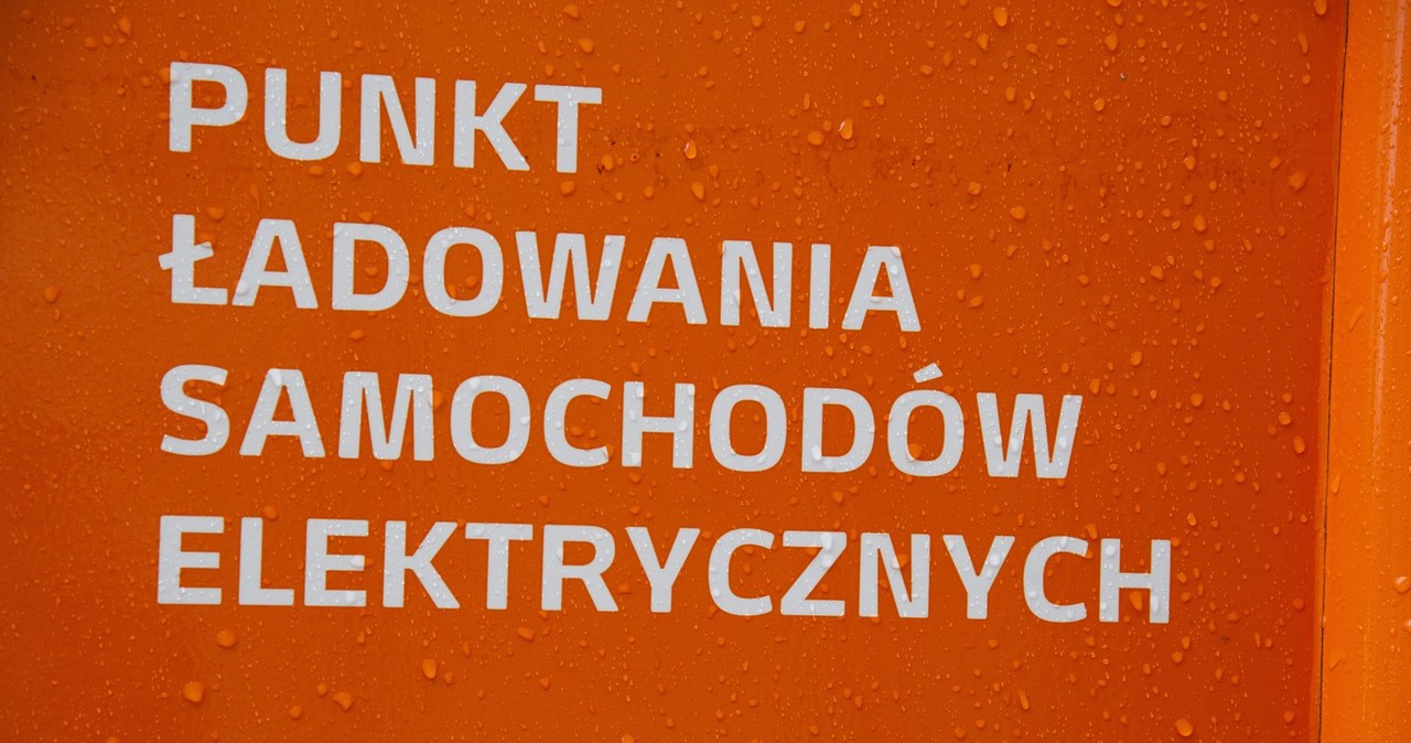 Plan elektromobilności jest, efektów - nie ma /Wojciech Stróżyk /Reporter