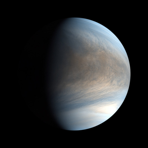 Planeta Wenus /Materiały prasowe