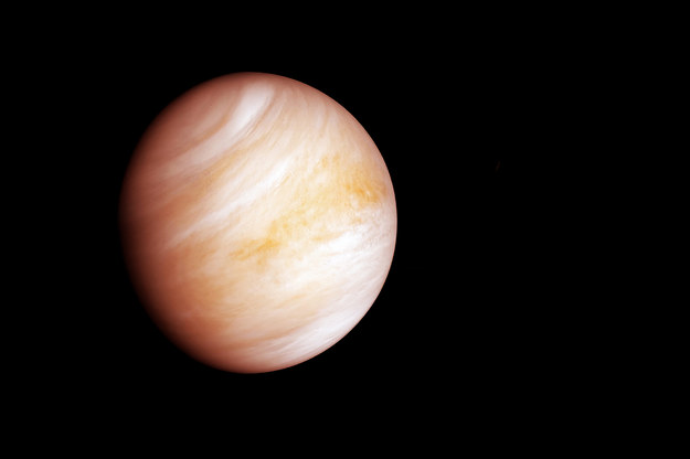 Planeta Wenus /Shutterstock