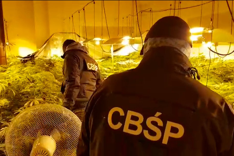 Planowane są kolejne zatrzymania w tej sprawie /CBŚP