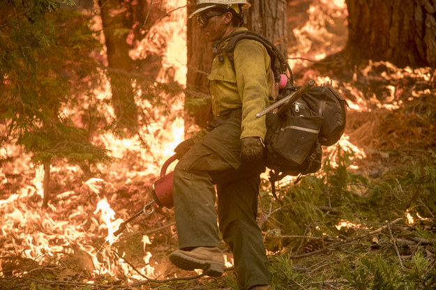 Planowe wypalanie w Sierra National Forest. w Kalifornii /US Forest Service /Materiały prasowe