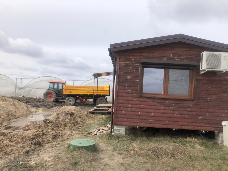 Plantacja w miejscowości Potworów i dom, w którym mieszkają pracownicy z zagranicy /Michał Dobrołowicz /RMF FM