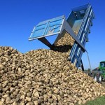 Plantatorzy gotowi zapłacić 800 mln zł za udziały w Krajowej Spółce Cukrowej