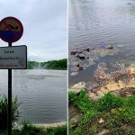 Planują wielkie sprzątanie Zalewu Nowohuckiego. Naukowcy mają wątpliwości