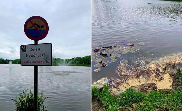 Planują wielkie sprzątanie Zalewu Nowohuckiego. Naukowcy mają wątpliwości