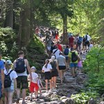 Planujesz wakacje pod Tatrami? "Zainteresowanie turystów jest spore"