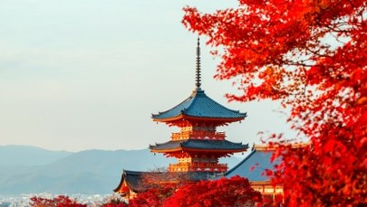 Planujesz wakacje w tym kraju? Pospiesz się, bo wkrótce będzie drożej