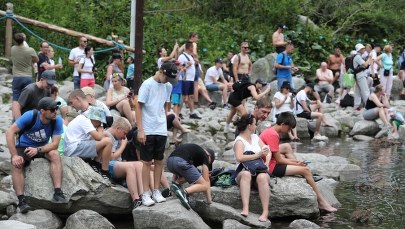 ​Planujesz wycieczkę w Tatry? Możesz nie znaleźć miejsca na parkingu
