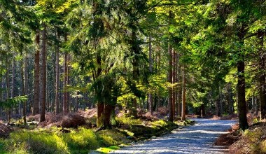 Planujesz wypad w Karkonosze? Uważaj, te szlaki będą zamknięte 