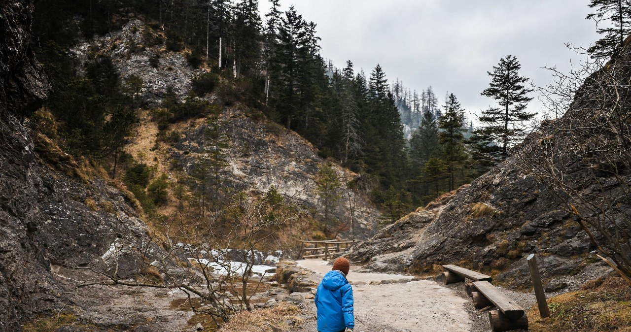 ​Planujesz wypad w Tatry? Uważaj, ten lubiany szlak będzie zamknięty /Michal Wozniak/East News /East News