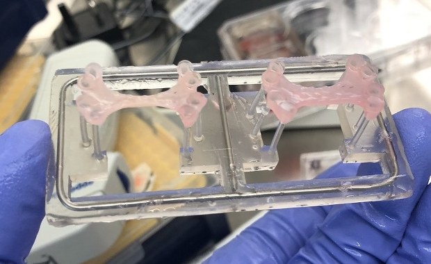 Plaster na serce. Dobre wieści dla zawałowców