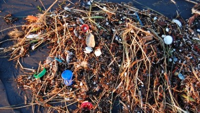 Plastik szkodzi bakteriom, które dają nam tlen