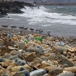 Plastik z jedzenia i napojów na wynos wypełnia oceany