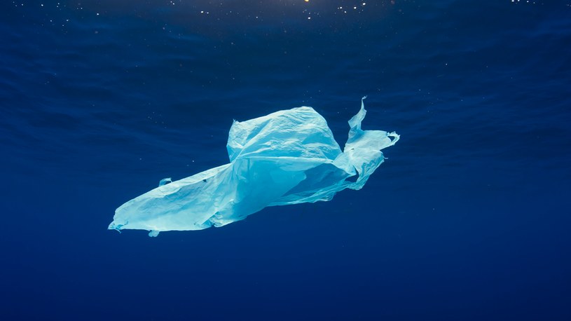Plastikowa torba w morzu (zdjęcie ilustracyjne). /Oleksandr Sushko /Unsplash