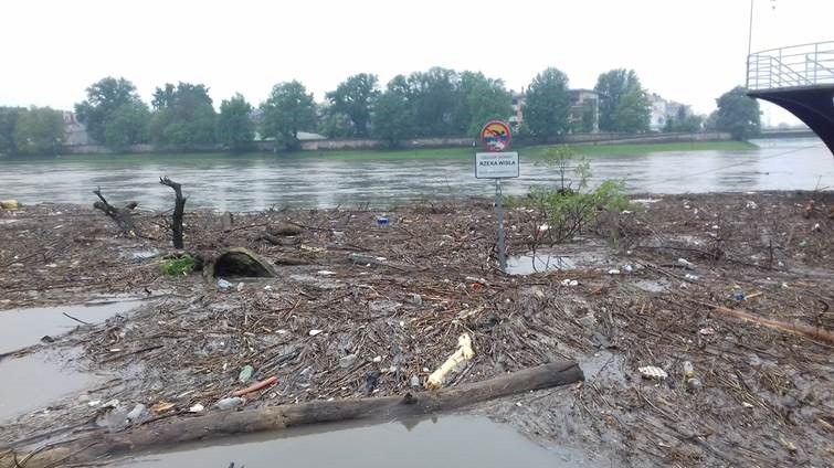 Plastikowe butelki widoczne w Krakowie na Wiśle /Przemysław Błaszczyk /RMF MAXX