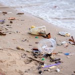 Plastikowe opakowanie sprzed prawie 40 lat znalezione przez rybaka 