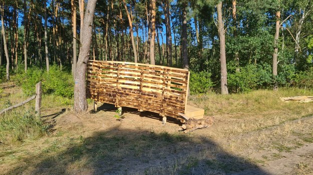 Platforma leśna zbudowana w ramach warsztatów Mood for Wood /Archiwum RDLP w Poznaniu  /Materiały prasowe