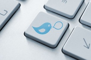 Płatny Twitter? Błękitna katastrofa trwa