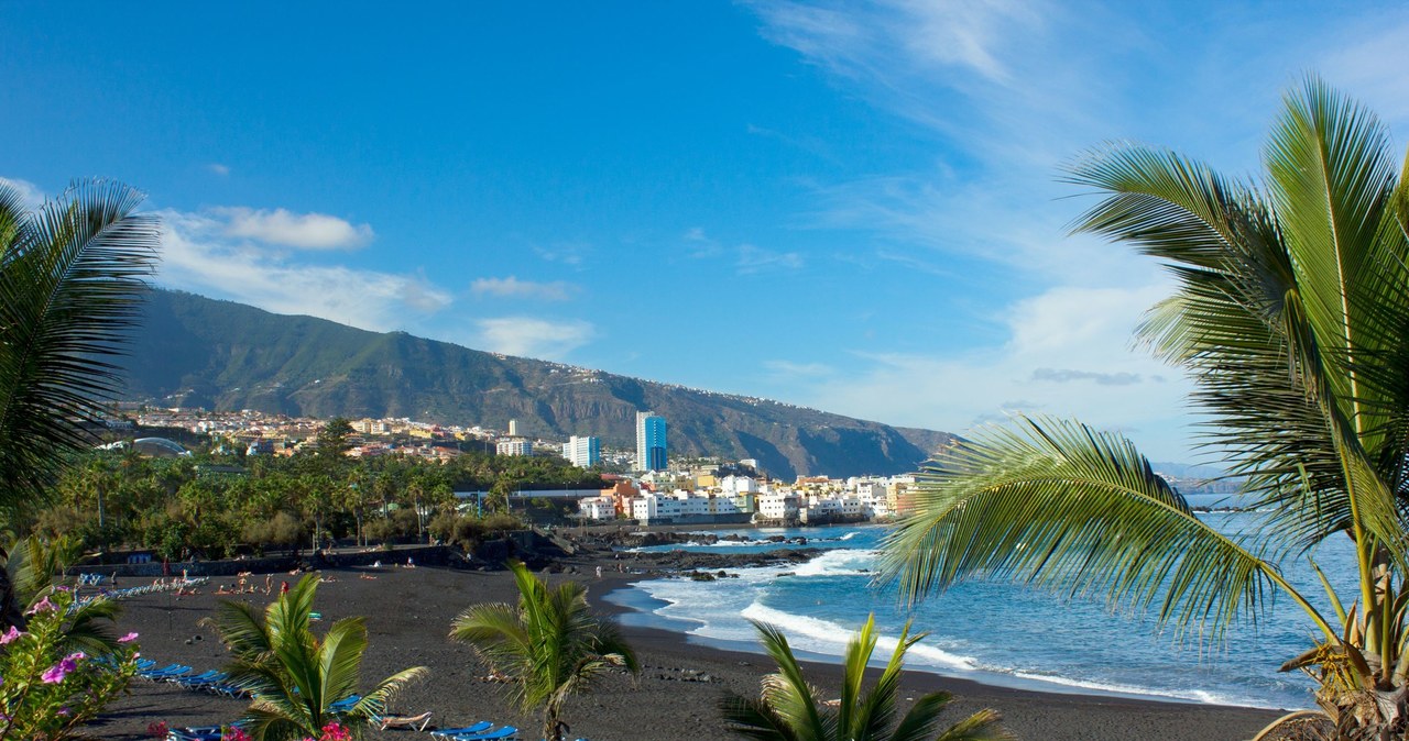 Playa Jardin, Puerto de la Cruz, Teneryfa, Hiszpania /Anastasy Yarmolovich  /123RF/PICSEL