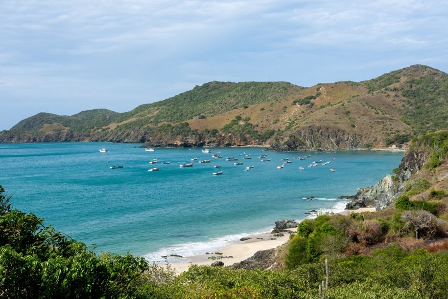 Plaża Manzanillo na wyspie Margarita w Wenezueli. /Shutterstock